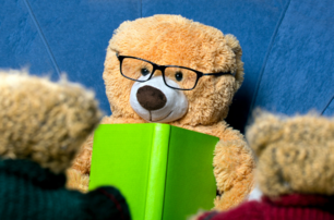 bear reading