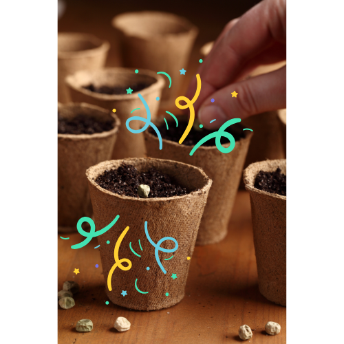 seed